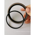 Mobile Hydraulics Piston Seals with Double O Ring (AQF) Factory Manufacture